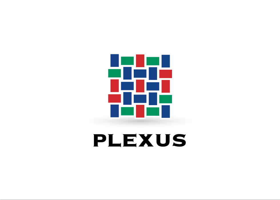 South for Construction | Plexus Logo
